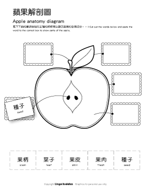 Apple Anatomy Diagram