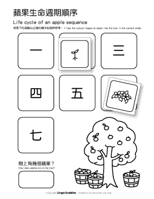 Life Cycle of an Apple Sequence Game