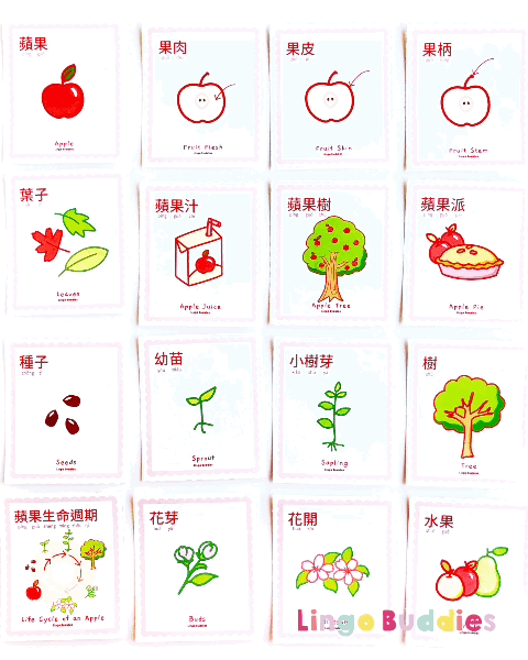 All About Apples Chinese Flashcards