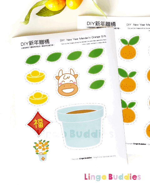 DIY Chinese Mandarin Orange Lucky Pot