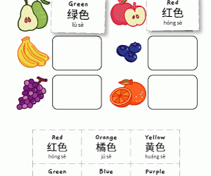 Fruits Color Matching