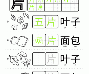 Chinese Measure Word Counting And Writing: 片 Leaves & Bread