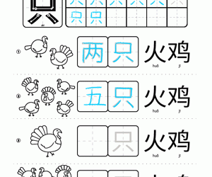 Chinese Measure Word Counting And Writing: 只 | 隻 Turkey