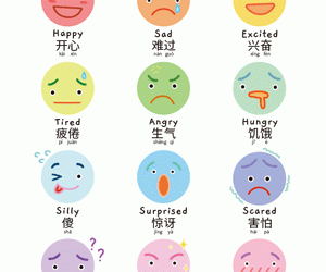 My Feelings Poster in Chinese
