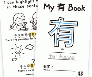 My Chinese Character Minibook 有 To Have