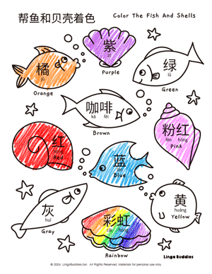 Color the Fish and Shells