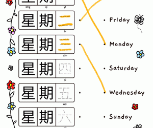 Weekdays Trace And Connect