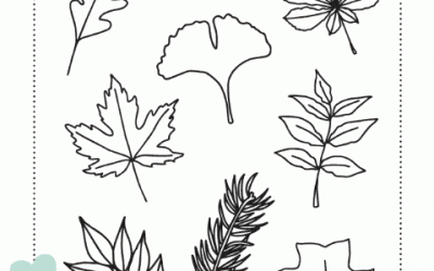 Leaf Coloring Page Set