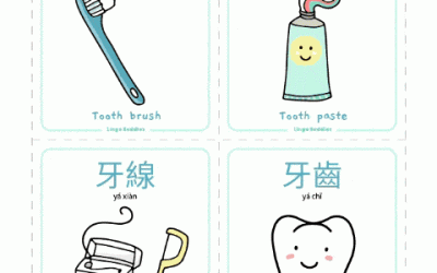 Dental Flashcards in Chinese and English